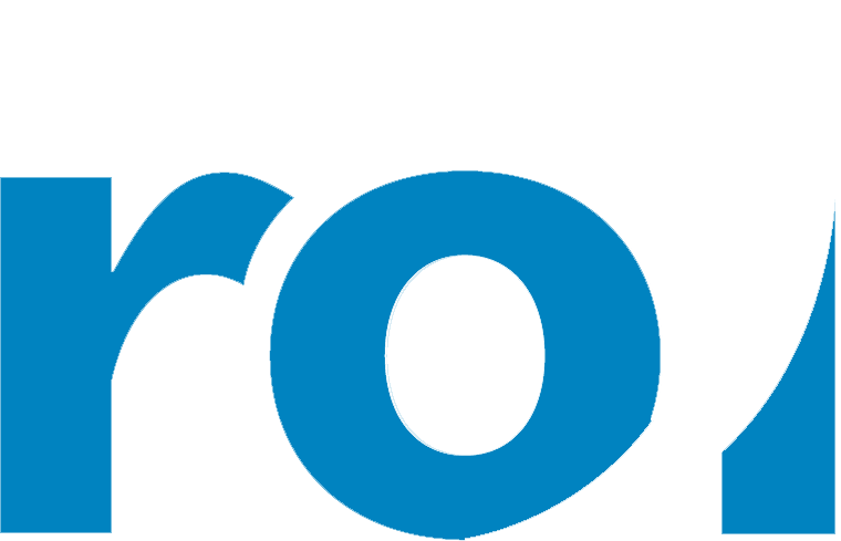 ROI White Logo